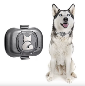 Coleira rastreadora GPS a prova de agua e poeira (IP67) Cães e gatos